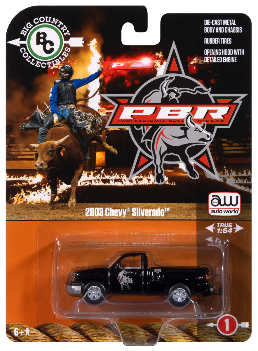 2003 Chevy Silverado Stepside PBR