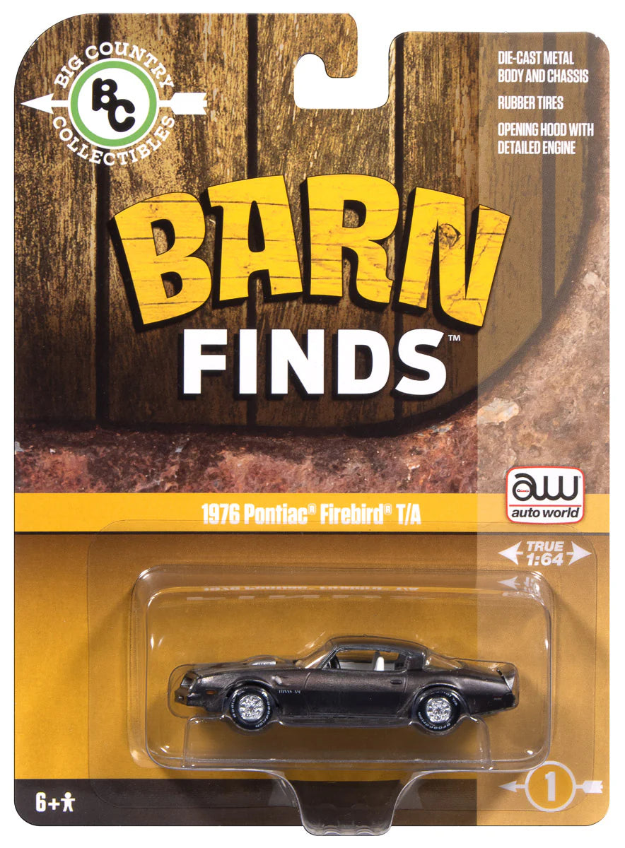 Auto World-1976 Pontiac Firebird T/A Barn Find AWBC003-4