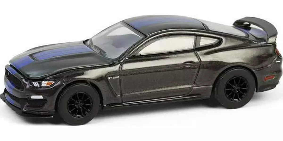 2017 Shelby GT350 Gray