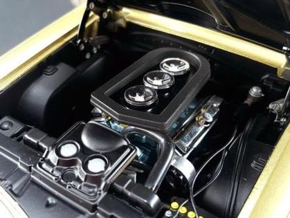 Pontiac GTO Tiger 1966 "Ace Wilsons Royal"