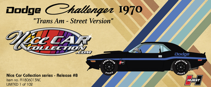 Dodge Challenger 1970 "Trans Am - Street Version" Nice Car Collection