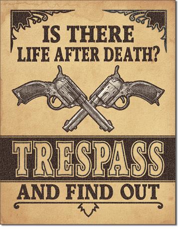 Life After Death - Trespass
