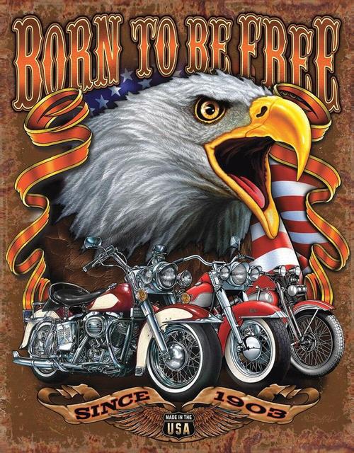 Born to be Free