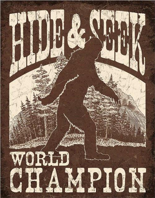 Big Foot - Hide & Seek
