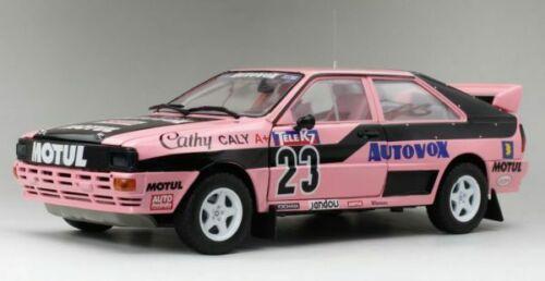 Audi Quattro A1 Cathy Caly 1987 French Rallycross