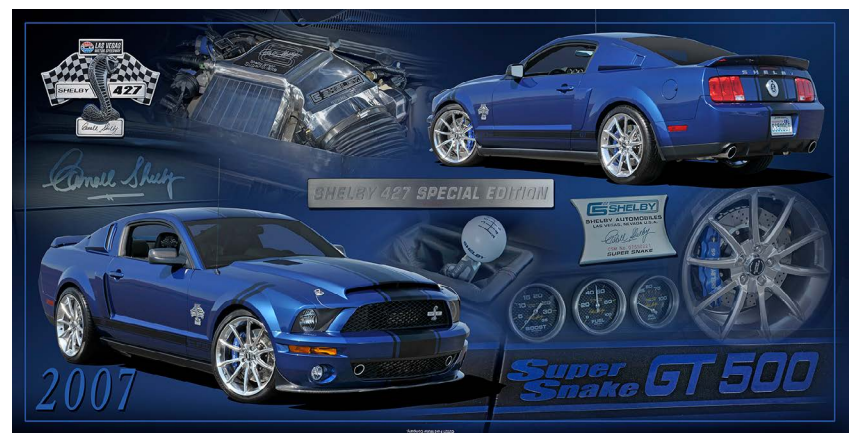 Ford Shelby Super Snake 19"x9.5"