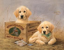 Kaatz - Wingmaster Shot Shells