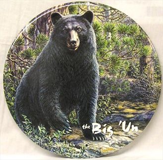 "The Big &