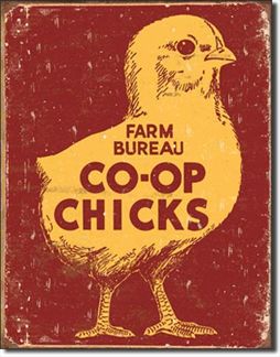 Farm Bureau - Co-Op Chicks