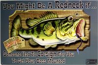 "You Might Be a Redneck If..."