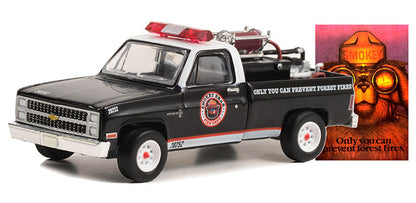 1989 Dodge Ram D-150 “Smokey’s Friends Don’t Play with Matches”