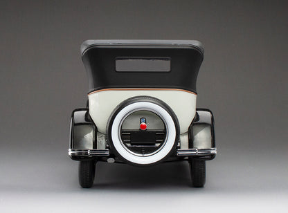 1925 Buick Model 25 – Gray/Gris