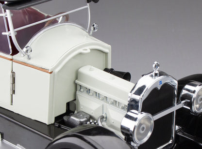 1925 Buick Model 25 – Gray/Gris