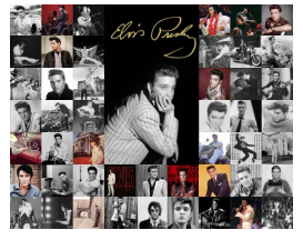Elvis Collage