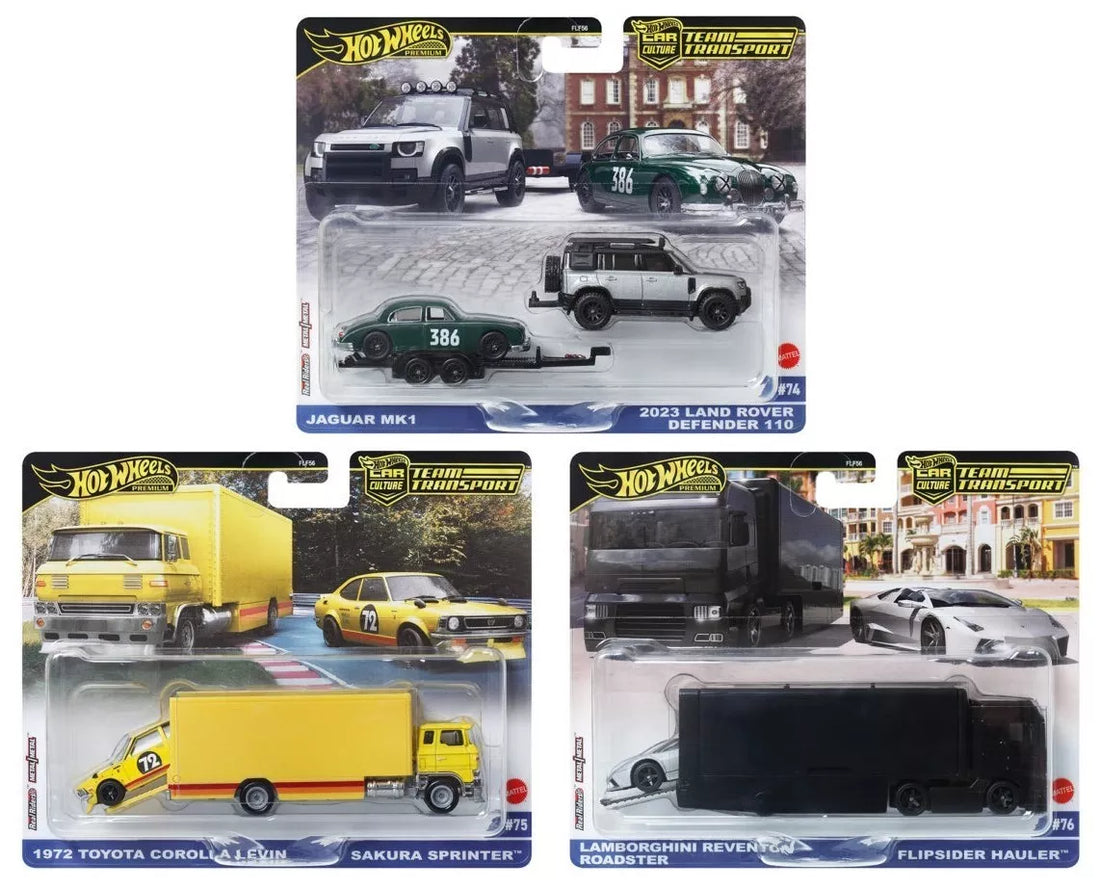 Hot Wheels-Team Transport E Case 2024- Set of 3 (FLF56-957E)