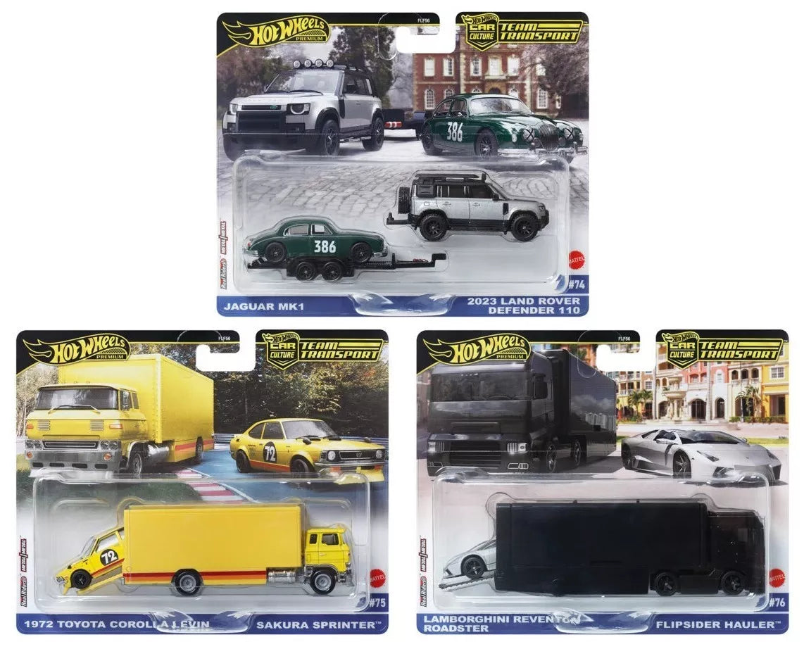 Hot Wheels-Team Transport E Case 2024- Set of 3 (FLF56-957E)