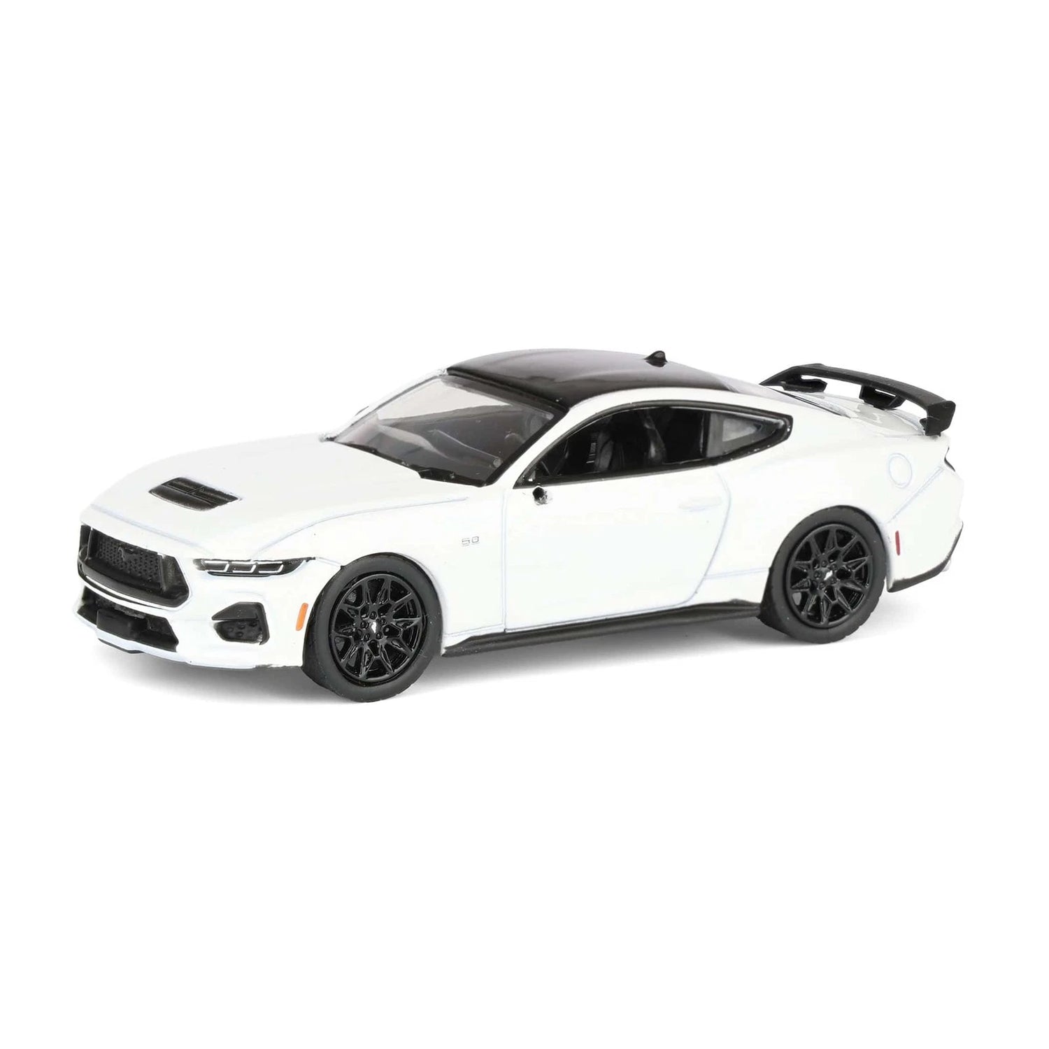 Ensemble Greenlight Set-GL Muscle Series 30