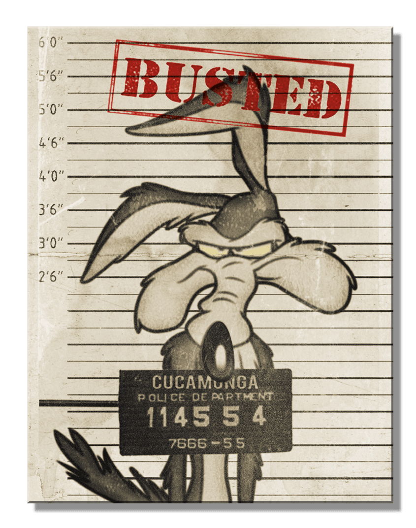 SH - Looney Tunes Busted