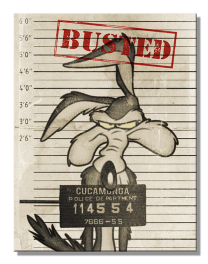 SH - Looney Tunes Busted