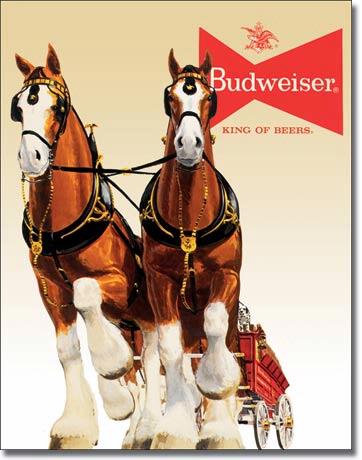 Bud Clydesdale Team