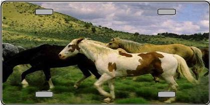 PHOTO CHEVAUX EN COURSE