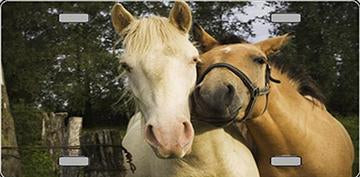 PHOTO CHEVAUX EN ACCOLADE