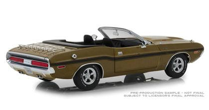 Dodge Challenger R/T 1970 with Luggage Rack