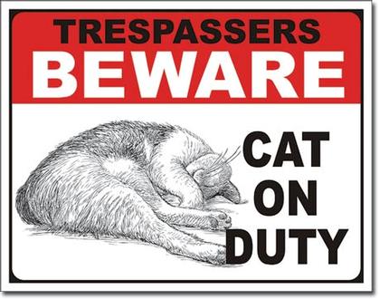 Trespassers Beware - Cat on Duty