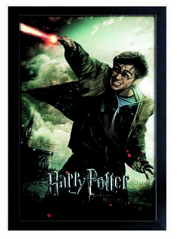 Cadre 11"x17" Harry Potter Fighting