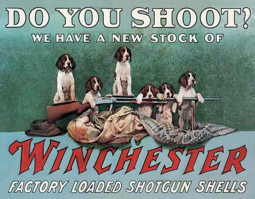 do you shoot winchester