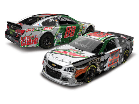 Dale Earnhardt Jr 