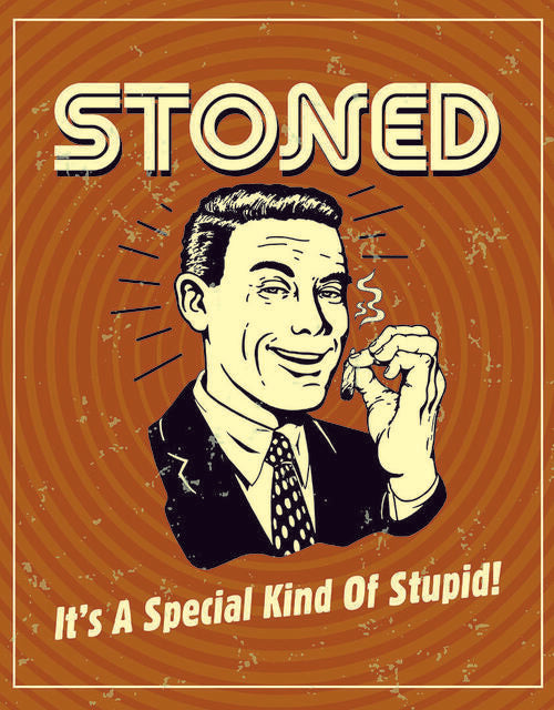 Stoned - Special Kind of Stupid