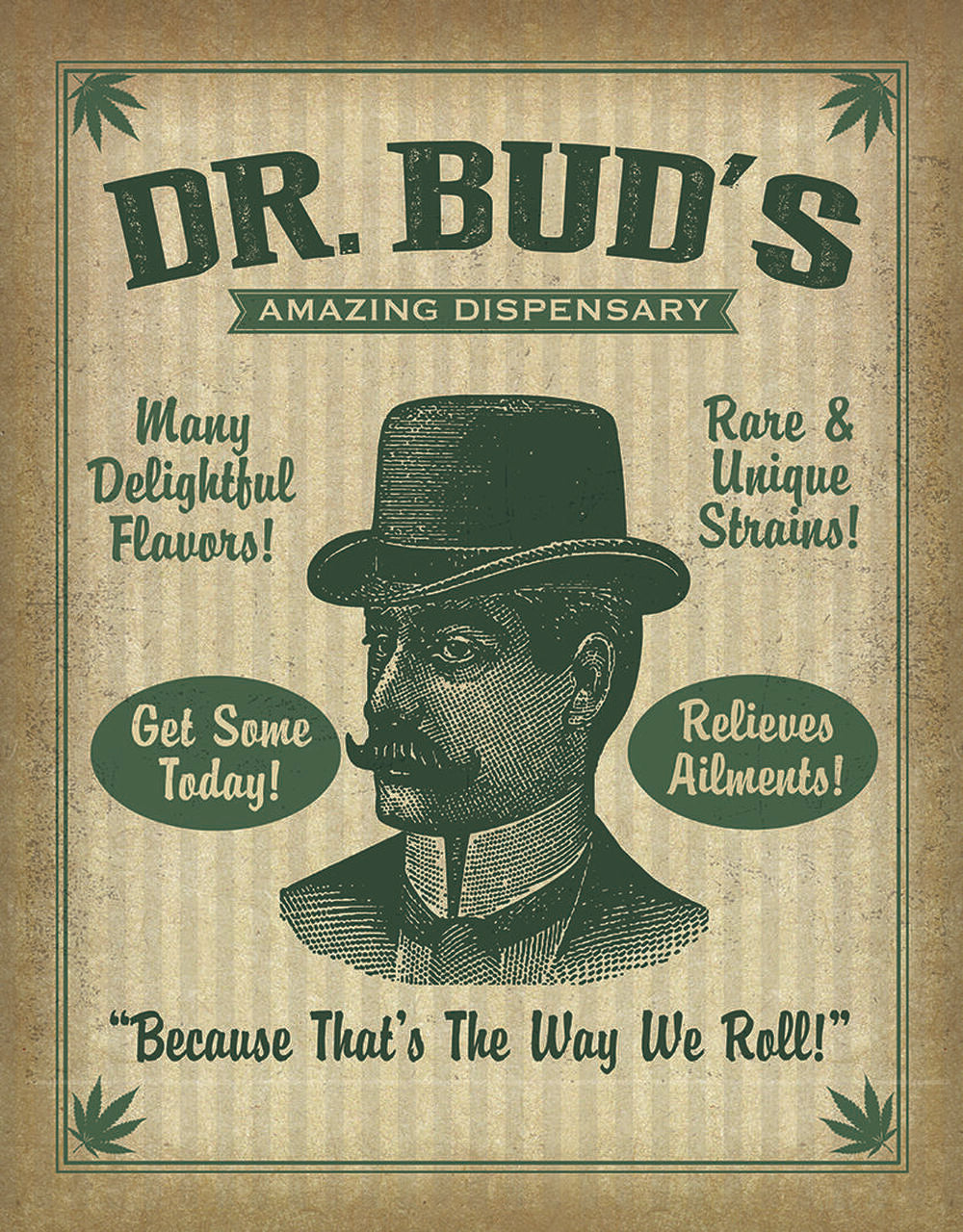 Dr Buds