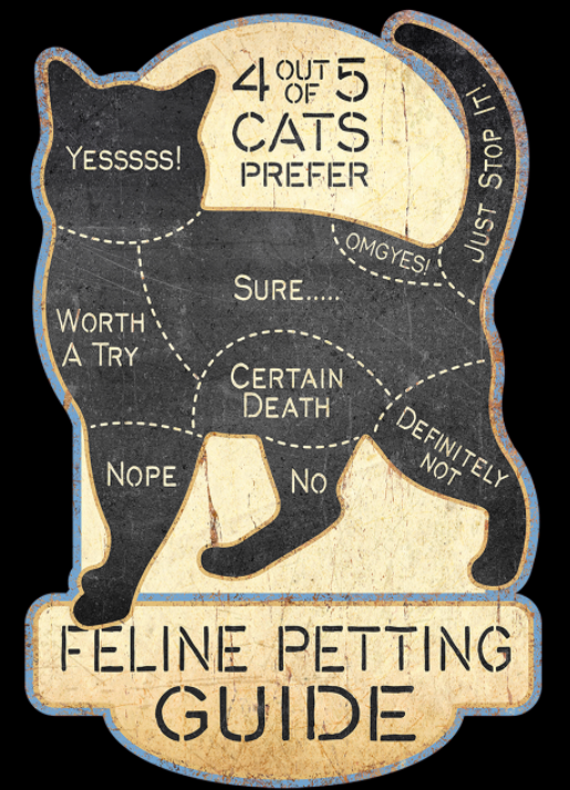 Cat Petting