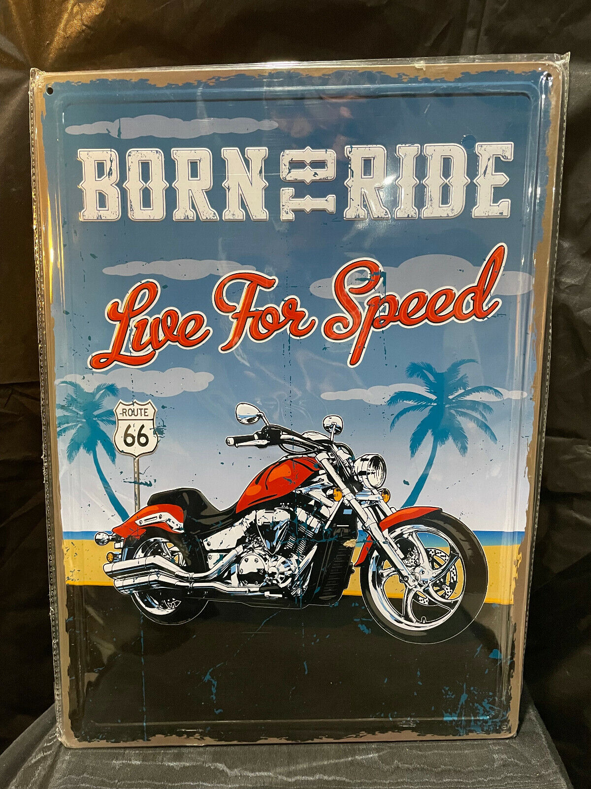 BORN TO RIDE LIVE FOR SPEED