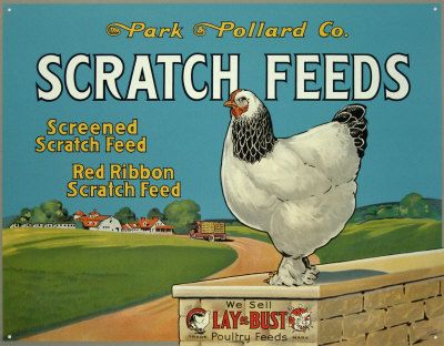 Scratch Feeds