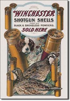 Winchester Shotgun Shells