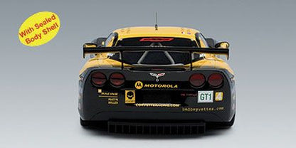 Chevrolet Corvette C6R ALMS 2007